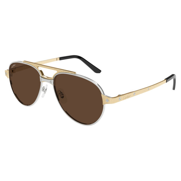 cartier ct0476s 008 1