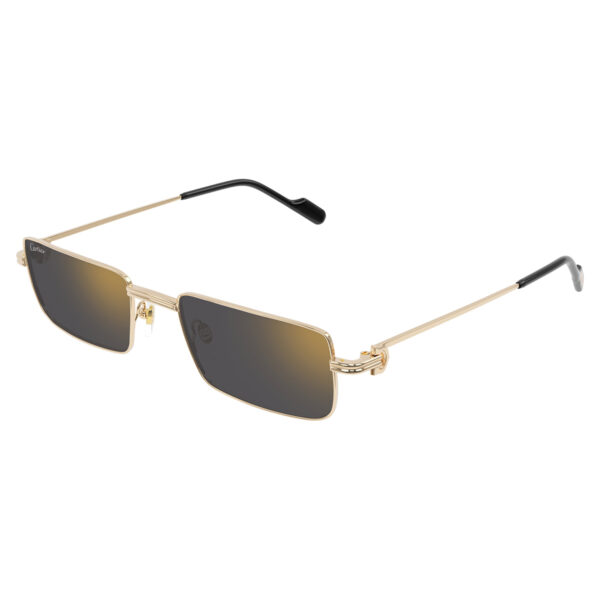 cartier ct0501s 005 1