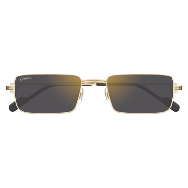 cartier ct0501s 005 2
