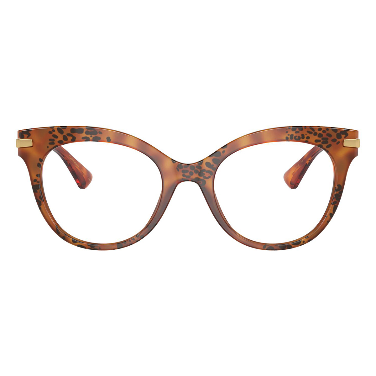 dolce and gabbana dg3392 3380 2