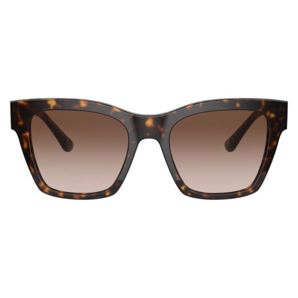 dolce and gabbana dg4384 50213 2