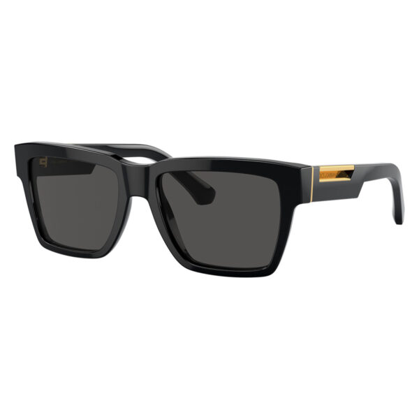 dolce and gabbana dg4465 50187 1