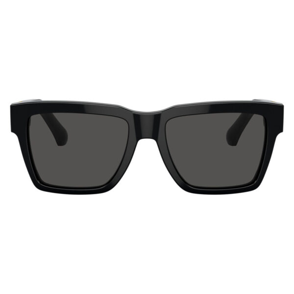 dolce and gabbana dg4465 50187 2