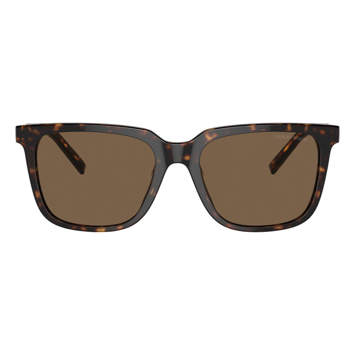giorgio armani ar8202u 587973 2
