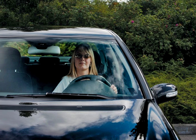 polarised windshield example2