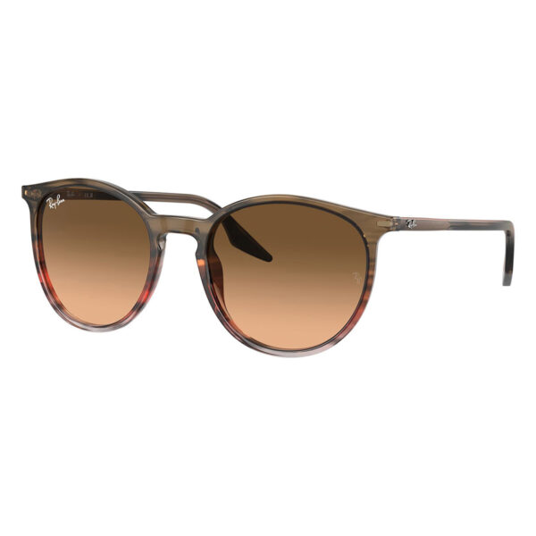ray ban rb 2204 13953b 1