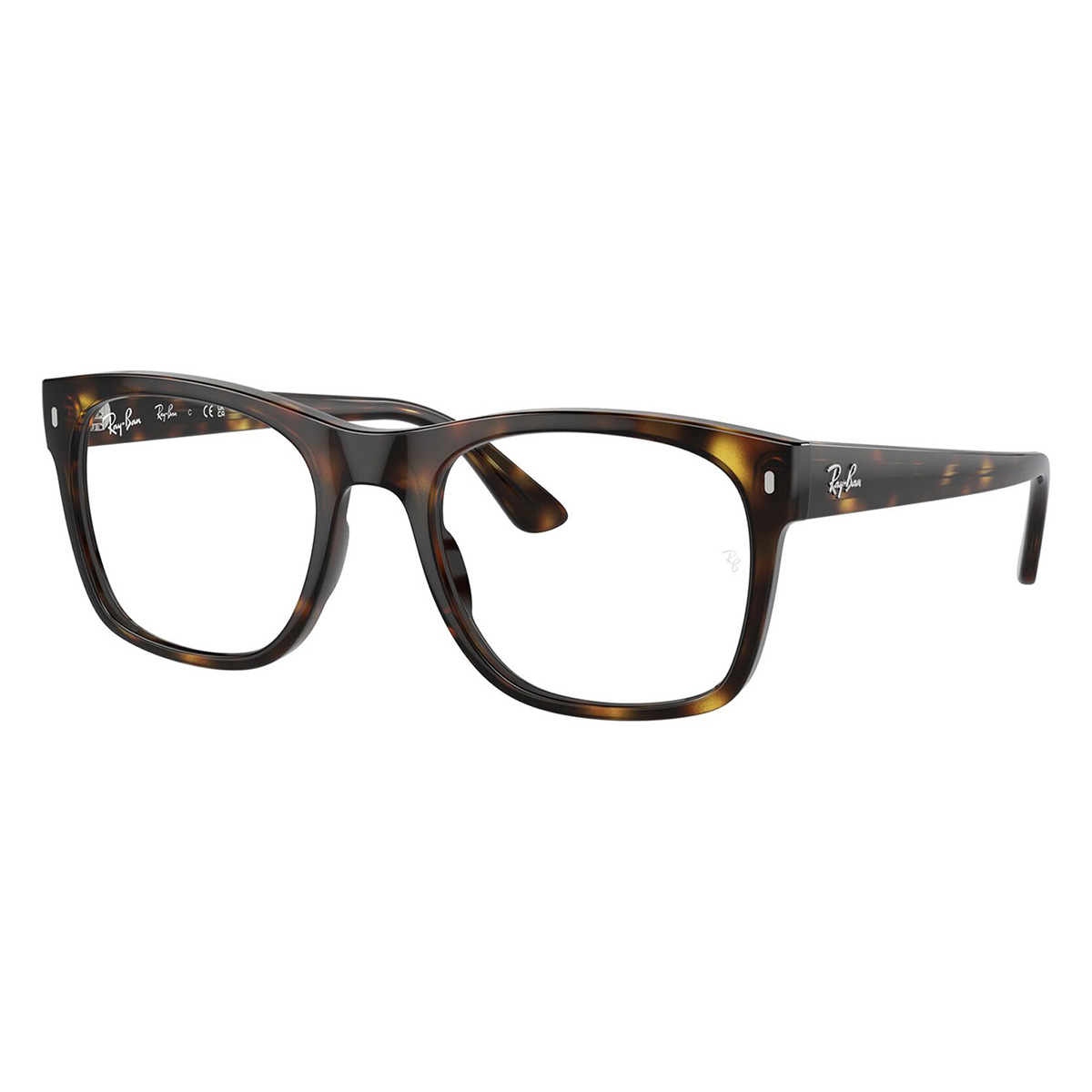 ray ban rb 7228 2012 1