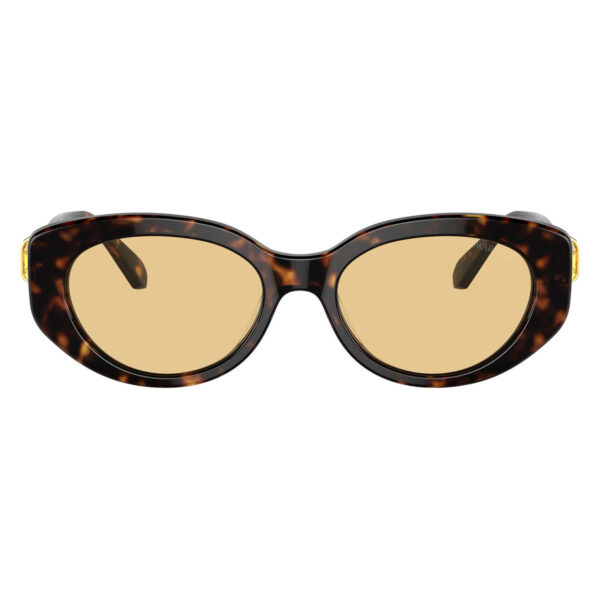 swarovski sk6002 10028 2