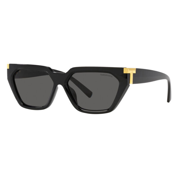 tiffany and co tf4205u 8001s4 1