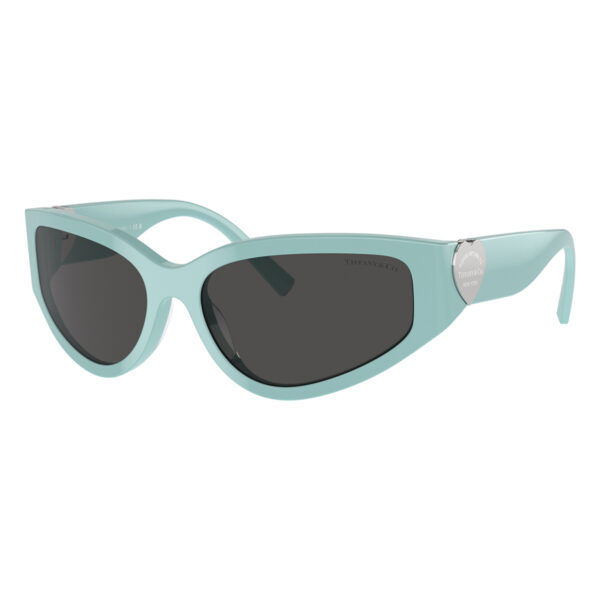 tiffany and co tf4217 838887 1