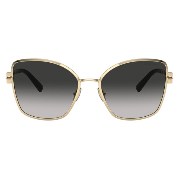tiffany tf3102b 60213c 2
